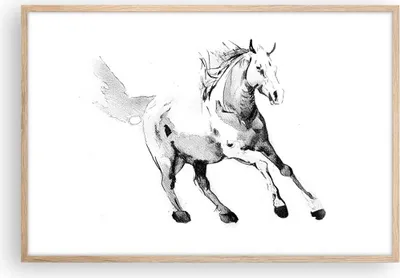 Produktbild von Gerahmtes Poster - Rahmen in heller Eiche - Pferd Galopp Tier - 91,5x61 cm - Wand Bild - Wanddeko - Wandbilder - Kunstposter - Wandposter - Bilderrahmen - Bilder - Kunstdruck - P2NAA91x61-5117