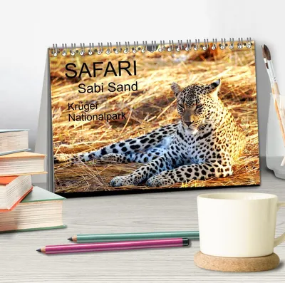 Produktbild von Safari / Afrika (Tischkalender 2026 DIN A5 quer), CALVENDO Monatskalender