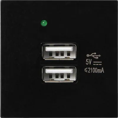 Produktbild von Modularer Anschluss mit 2xUSB-Ladegerät OR-GM-9010/B/USBX2