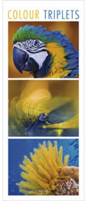 Produktbild von Korsch Wandkalender Colour Triplets 2027 mit Detailfotografien und neutralem Kalendarium
