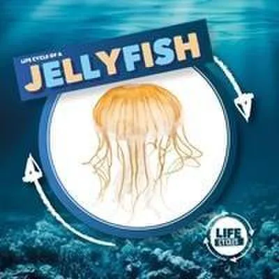 Imagen del producto de Jellyfish