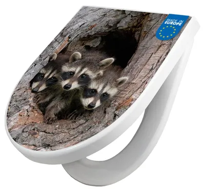 Produktbild von WC Sitz mit Absenkautomatik D Form Motiv Drei Waschbären [TDW3 12804]