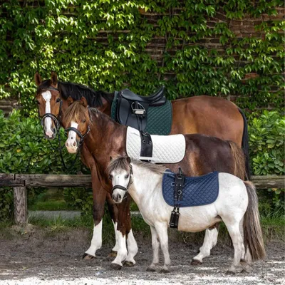 Produktbild von Waldhausen Schabracke Felix, Größe:Pony, Farbe:weiß
