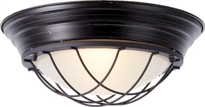 Obrázek produktu pro BRILLIANT lampa Typhoon nástěnné a stropní svítidlo 34cm černé antické | 2x A60, E27, 25W, vhodné pro standardní žárovky (nejsou součástí balení) | Vhodné pro LED žárovky