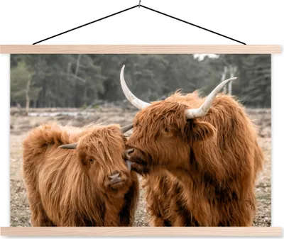Produktbild von MuchoWow® Textilposter Schottisches Hochlandrind - Tiere - Wald 120x80 cm mit holzfarbenen Rahmen - Aufhängeset