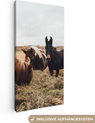 Obrázok produktu pre MuchoWow® - Plátno - Zvieratá - Kôň, nástenná maľba, nástenné dekorácie obrazy obývacia izba, 40x80cm