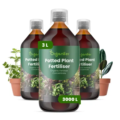 Produktbild von Topfpflanzen Flüssigdünger 3x1L – 3-4-3 NPK – Flüssig-Pflanzendünger für Topfpflanzen – Organifer