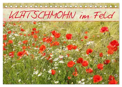 Produktbild von Klatschmohn im Feld (Tischkalender 2027 DIN A5 quer), CALVENDO Monatskalender