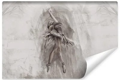 Produktbild von Muralo Selbstklebende Fototapete BALLERINA Ballett Tanz Beton Abstraktion Für Wohnzimmer Br. 180cm x Hö. 120cm