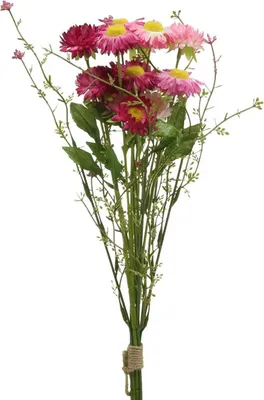 Produktbild von Rhodanthe Strohblumenbund Dekoration Kunstblume langlebig und pflegeleicht