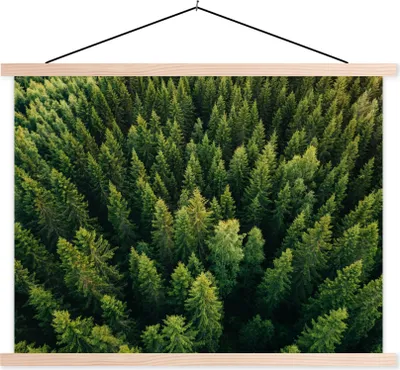 Produktbild von MuchoWow® Textilposter Wald - Baum - Grün 40x30 cm mit holzfarbenen Rahmen - Bilder