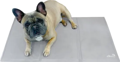 A French bulldog lies on a gray cooling mat.