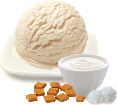 Obrázok produktu pre Jogurtová zmrzlina v prášku s nízkym obsahom sacharidov vegánska bez cukru a laktózy 10 kg