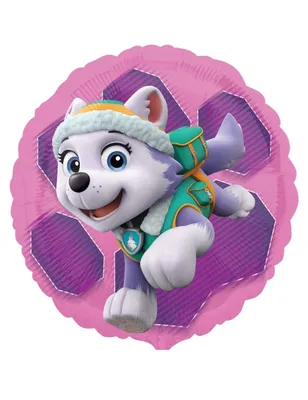 Productafbeelding van PAW Patrol - Ballon - Folie - Skye & Everest - 43cm - Roze - 1 stuks