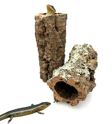 Produktbild von BioCork Korkrohr Naturprodukt, Größe M, Länge ca. 20 cm, Durchmesser ca. 9-12 cm