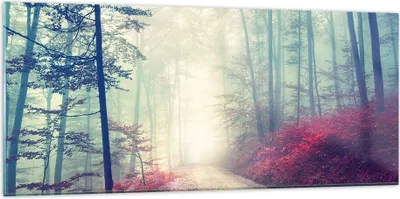 Produktbild von Bilder auf glas - Wald Baum Natur - 120x50cm - Glasbilder - Wandbilder - Kunstdruck - zum Aufhängen bereit - Wanddekoration aus Glas - Glas Bilder - Wandbild auf Glas - Einteilig - GAB120x50-3667