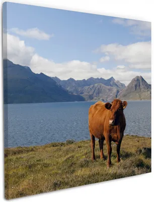 Produktbild von Wallario Premium Leinwandbild Kuh in den Bergen in Größe 50 x 50 cm