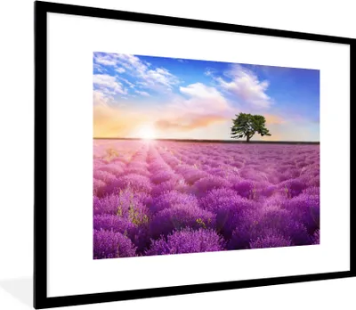 Produktbild von MuchoWow® Gerahmtes Poster Lavendel - Baum - Sonnenuntergang - Lila 80x60 cm - Poster mit Schwarzem Bilderrahmen Wandposter Rahmen Foto Bilder - Schlafzimmer-Dekorationen - Fotoposter