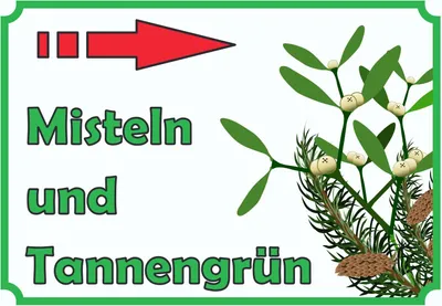 Produktbild von Misteln und Tannengrün Verkaufsschild mit Pfeil rechts Hofladen Verkaufsförderung A3 (297x420mm)