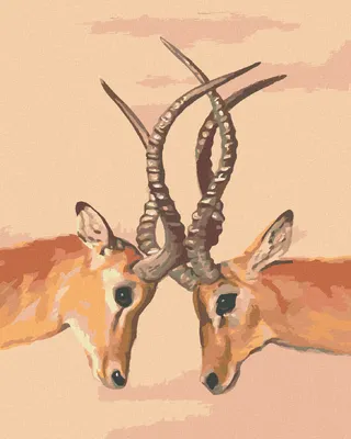 Produktbild von Zuty - Malen nach Zahlen - ANTILOPE (D. RUSTY RUST), 40x50 cm, mit Keilrahmen (bereits gespannt)