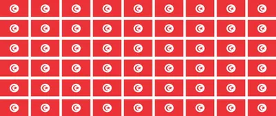Produktbild von Mini Aufkleber Set - Pack glatt - 20x12mm - selbstklebender Sticker - Tunesien - Flagge / Banner / Standarte fürs Auto, Büro, zu Hause und die Schule - 54 Stück