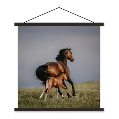Produktbild von MuchoWow® Textilposter Tiere - Pferde - Fohlen 90x90 cm mit schwarzem Rahmen - Magnetisches