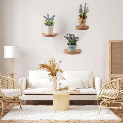 Produktbild von 3 Stück runde Wandregale Ø 15 cm - schwebende Regale - Pflanzenregal Holz - dekoratives Regal - für Blumentopf oder Vase.