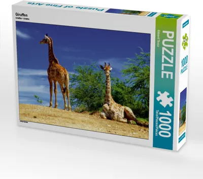 Produktbild von Calvendo Giraffen 1000 Teile Puzzle quer 640x480mm, Tkocz Eduard; 7400825
