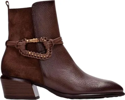 Produktbild von Stiefeletten Hispanitas 205-254297 für Damen