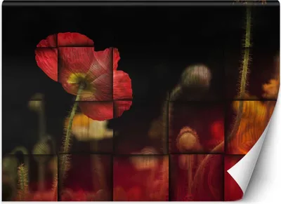 Produktbild von Vlies fototapete Rote Mohnblumen 400x280 cm Feeby Rot inkl. Kleber einfache Montage