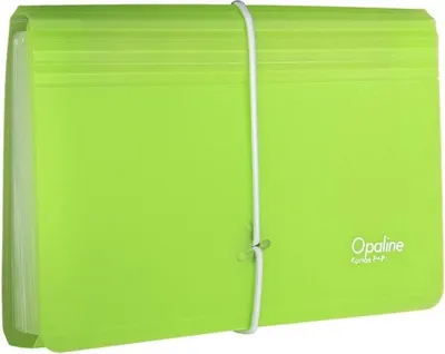 Image de Karton P+P Porte-documents avec élastique DL Opaline clair-vert 13kapes 2-491