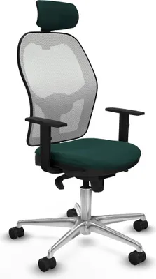 Produktbild von Bürostuhl Piqueras y Crespo 1D086N2 grün