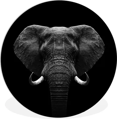 Produktbild von MuchoWow® Rundes Wandbild - Runde Bilder Tiere - Elefant - Porträt - Schwarz - Weiß Ø 90 cm Kreis Wanddekoration Kunststoff - Wandkreis - Wandschmuck - Wand-Kreis - Wohnzimmer - Bild - Runde - Wanddeko - Dibond - Kunstdrucke