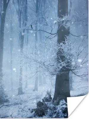 Produktbild von MuchoWow® Poster Wald - Winter - Schnee 30x40 cm - Wandplakat - Poster Kinderzimmer