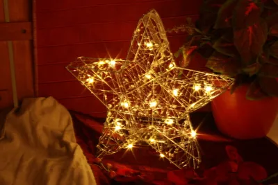 A decorative star with lights, placed on a red surface next to a plant and a hooded garment.