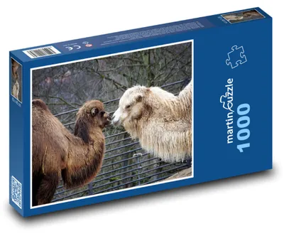 Obrázok produktu pre Puzzle 1000 Príbeh Priateľstva Velblúdov - martinpuzzle