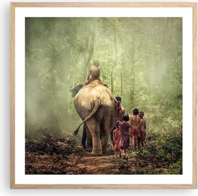 Produktbild von Gerahmtes Poster - Rahmen in heller Eiche - Elefant Dschungel Nebel - 60x60 cm - Wand Bild - Wanddeko - Wandbilder - Wandposter - Bilderrahmen - Bilder - Kunstdruck - Wandbild - P2NAC60x60-3438