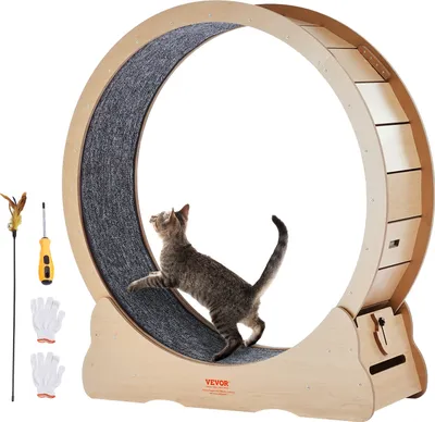A cat is running on a wooden exercise wheel, with accessories like a feather toy, screwdriver, and gloves laid out next to it.