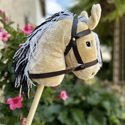 Imagen del producto de Astrup, caballo de juguete con palo, color rubio