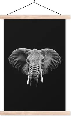 Produktbild von MuchoWow® Textilposter Elefant auf schwarzem Hintergrund - schwarz und weiß 120x180 cm mit holzfarbenen Rahmen - Textil-Plakat