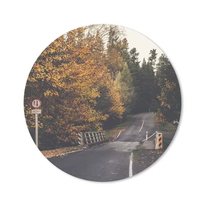 Produktbild von MuchoWow® Mauspad Mousepad Bäume - Straße - Herbst 40x40 cm - Mousepads - Maus Mat - Pad - Mausunterlage - Schreibtisch Accessoires