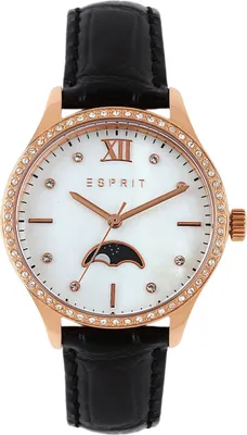 Obrázok produktu pre Dámske hodinky ESPRIT ES107002004