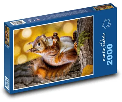 Obrázek produktu pro martinpuzzle - Puzzle 2000 - Veverka - lesní zvíře