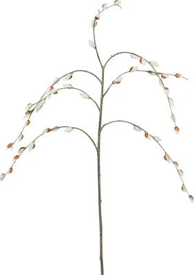 Produktbild von Künstliche WEIDENKÄTZCHEN ca 84cm. Palmkätzchen-Zweig.