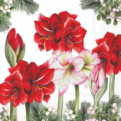 Produktbild von Weihnachten Servietten 33x33 cm 3-lagig 20 Stück Blooming amaryllis whiteMix Amaryllis Ritterstern weiß