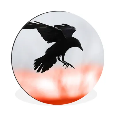 Produktbild von MuchoWow® Aluminium Wandkreis Vogel - Krähe - Rot Ø 60 cm Wanddeko Modern Wohnzimmer - Wand Kreis - Wandbild - Schlafzimmer - Aluminium Bild - Kinderzimmer - Wohnzimmer Dekoration - Wandschmuck