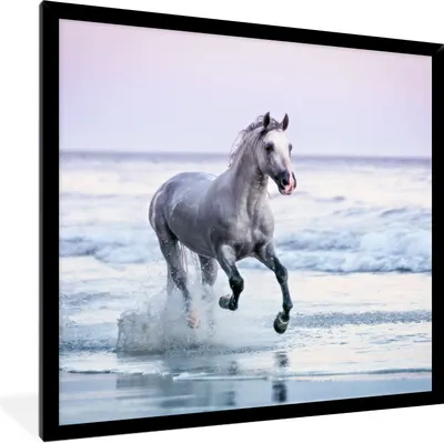Produktbild von MuchoWow® Gerahmtes Poster Pferd - Pilz - Strand 40x40 cm - Poster mit Schwarzem Bilderrahmen Wandposter Rahmen Foto Bilder - Mit Rahmen - Wanddekoration Schlafzimmer