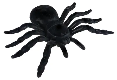 Produktbild von Gruselspinne Halloween Deko, Schwarz, 16cm, wetterfest für Innen & Außen