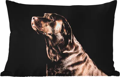 Produktbild von MuchoWow® Outdoor Kissen - Hund - Braun - Porträt - 60x40 cm - Wetterfest - Lounge Kissen - Zierkissen - Kissen für Innenräume