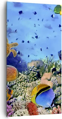Produktbild von Bild auf Leinwand - Leinwandbild - Korallenriff - 65x120cm - Wand Bild - Wanddeko - Wandbilder - Leinwanddruck - Bilder - Kunstdruck - Wanddekoration - Leinwand bilder - Wandkunst - PA65x120-3569